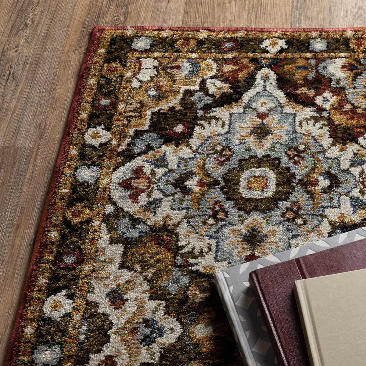 Andorra 2408a Rug | Living Room