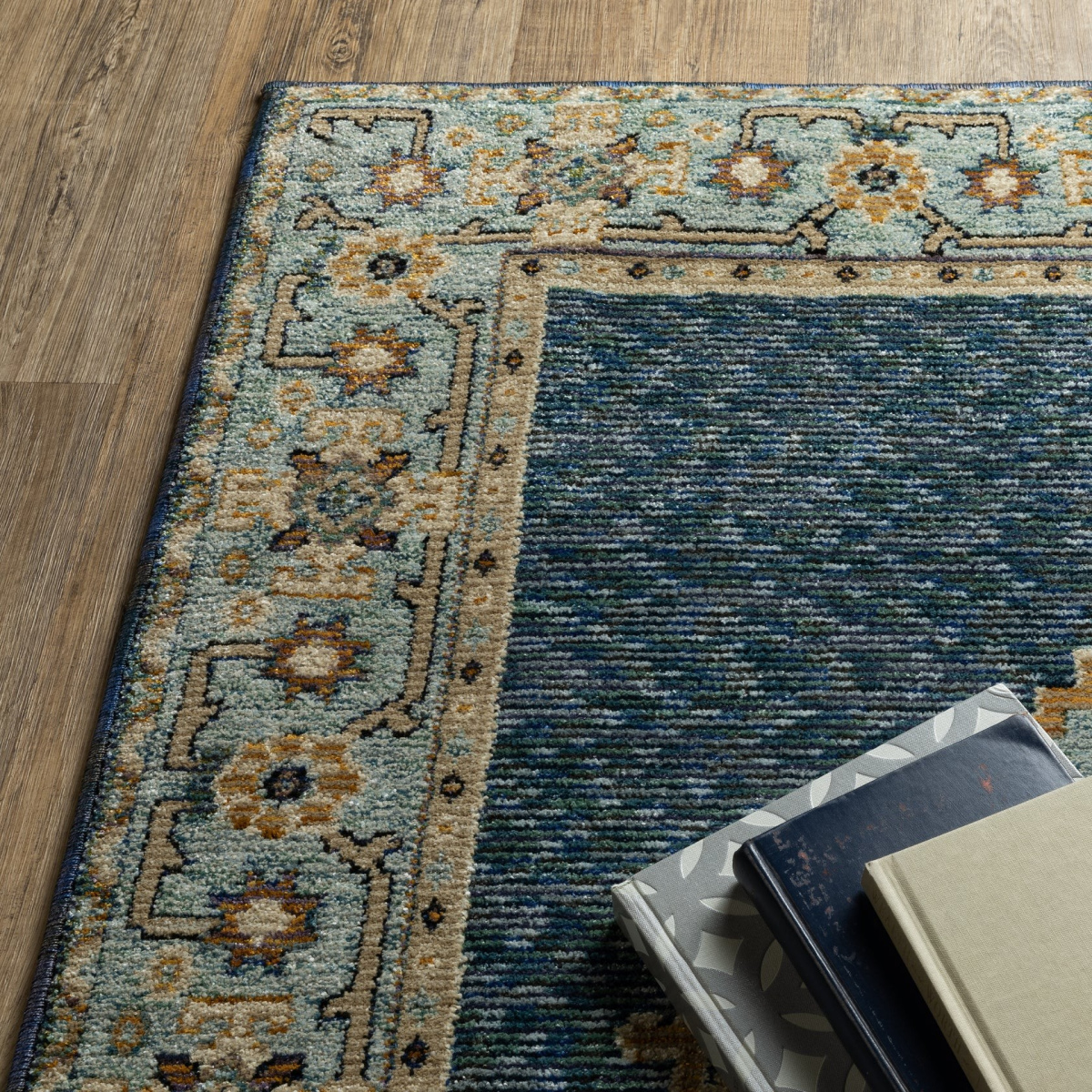 Andorra 2430a Rug | Living Room