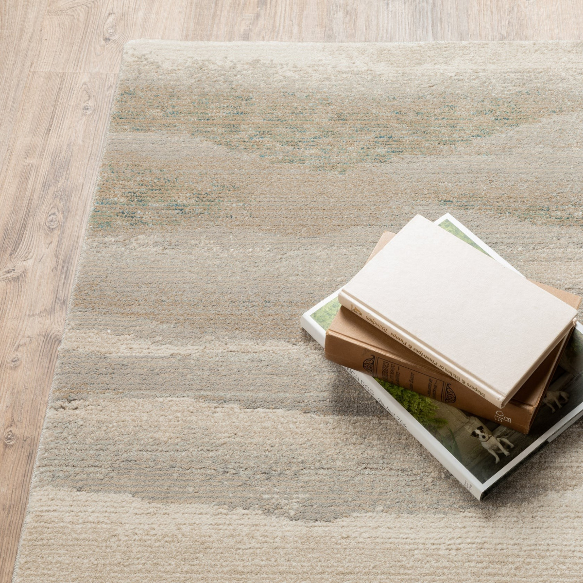 Evolution 982c Area Rug