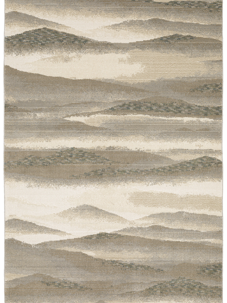 Evolution 982c Rug