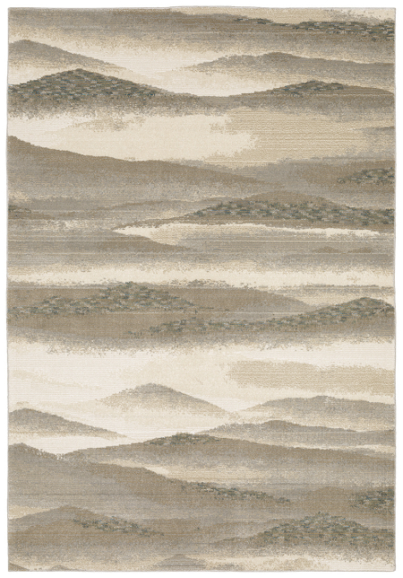 Evolution 982c Rug