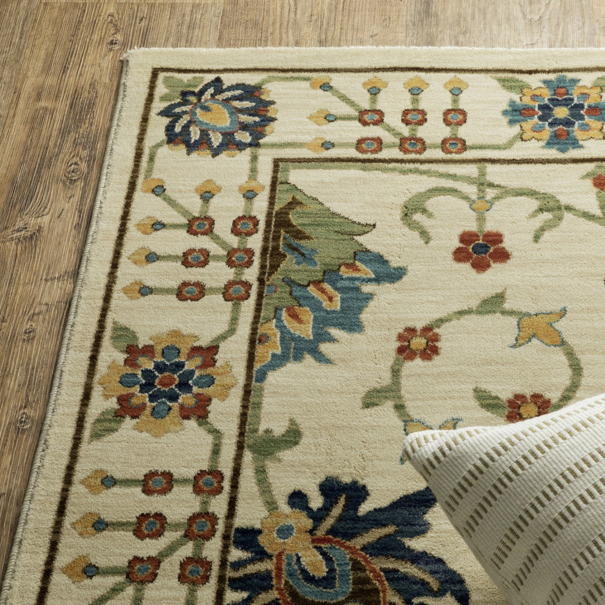 Francesca fr01g Area Rug