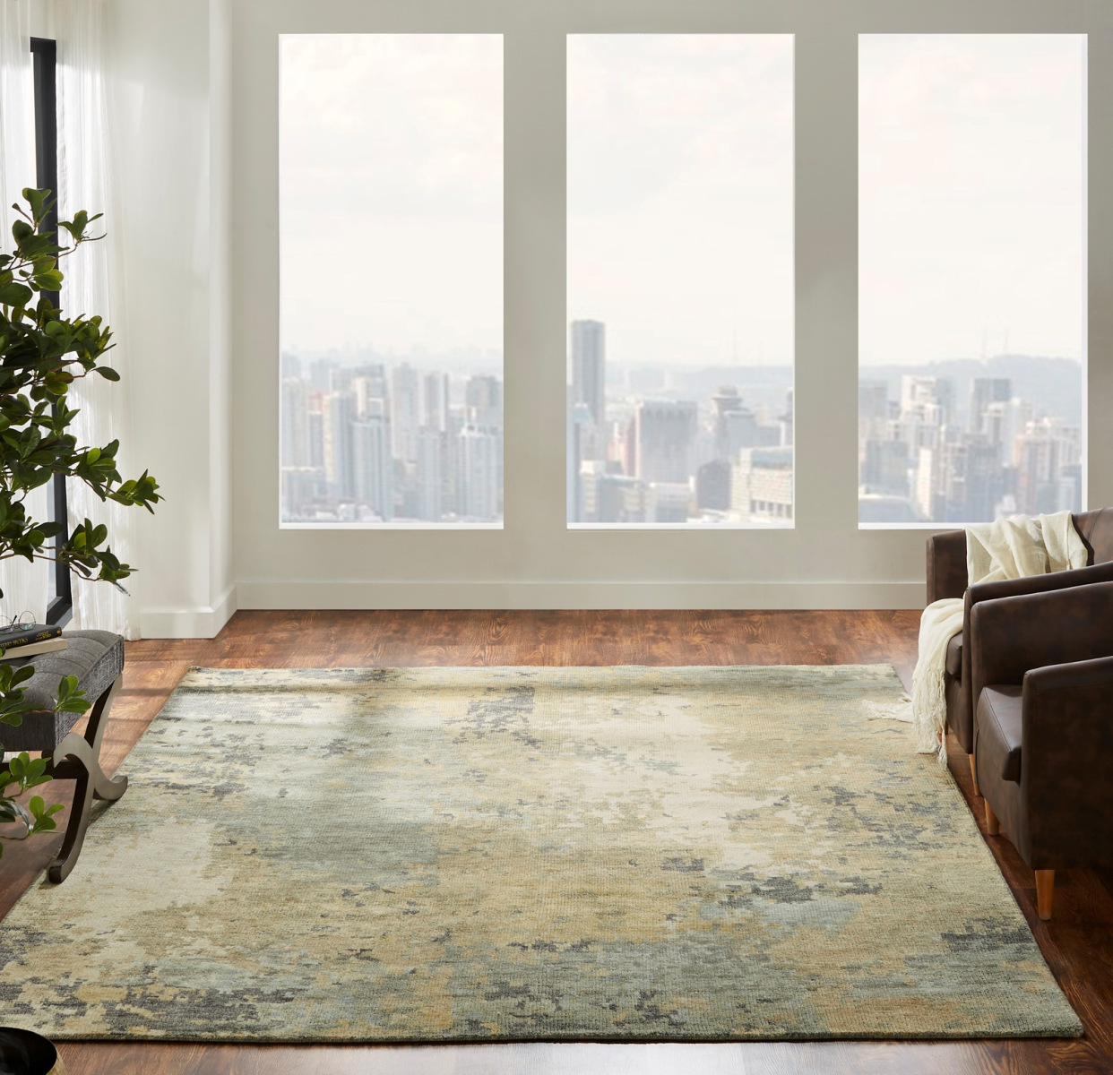 260 IT Area Rug Room Setting | Living Room