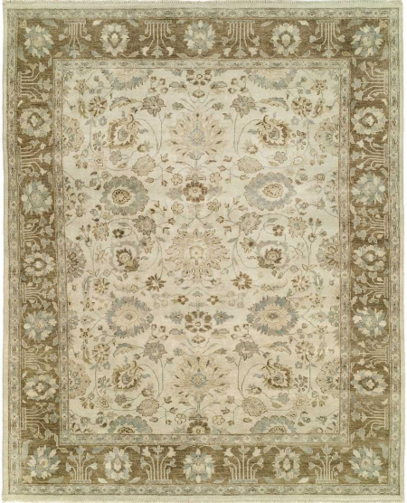 178 MG Ivory / Vintage Brown Area Rug