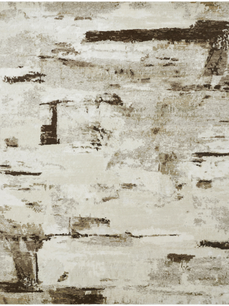 1168 ON Earth tone rug