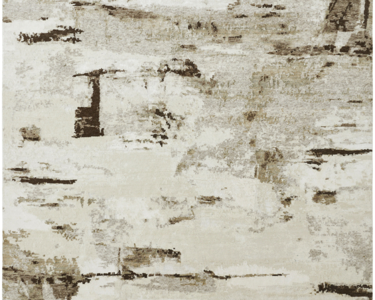 1168 ON Earth tone rug